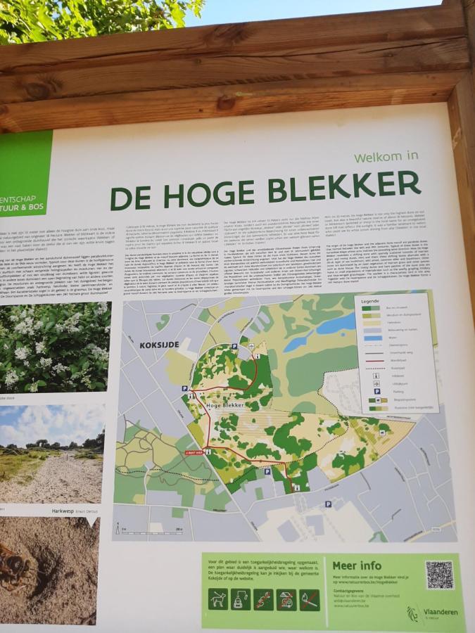 科克赛德Blekkerke别墅 外观 照片